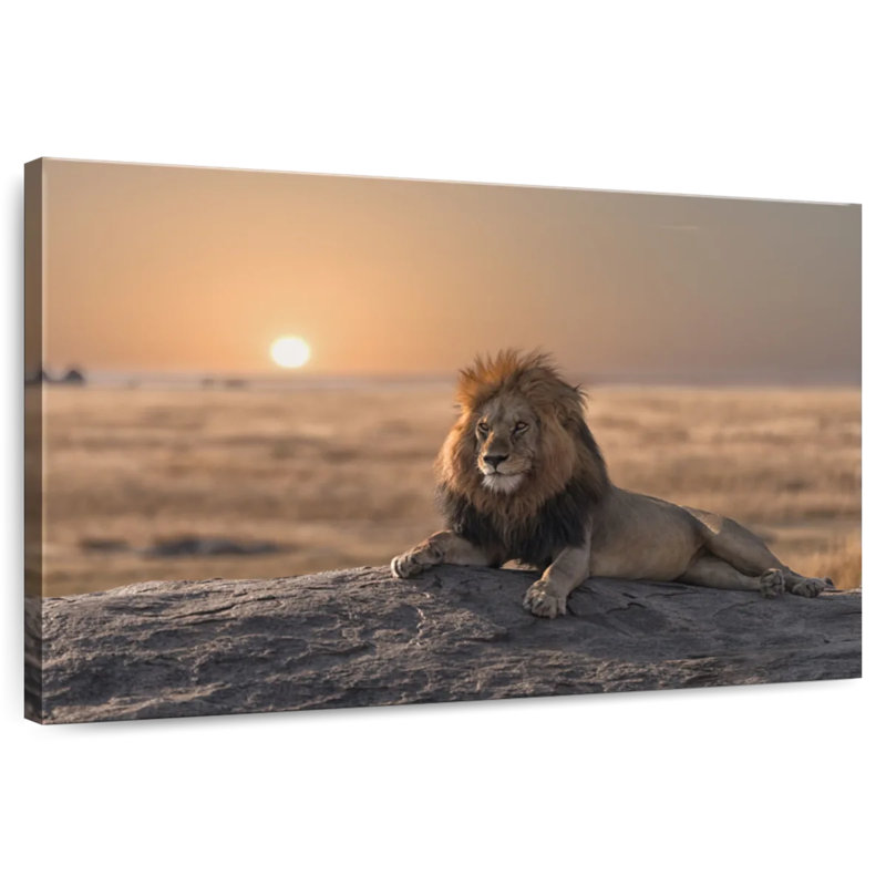 Lion On A Rock, 8" H x 12" W