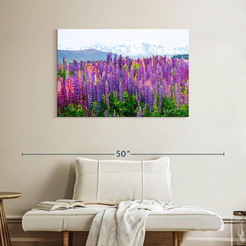 Fleurs de lupin lavande Alvord