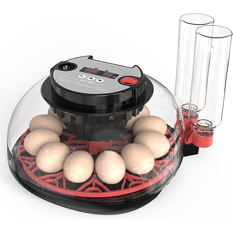 Smart Chicken Incubators for Hatching Eggs with Automatic Turner Small Poultry Duck Quail 12 Egg Incubator Temperature Control Display Hatcher Machine (M12 Pro)