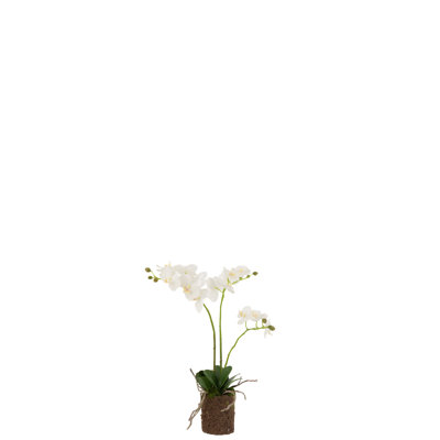 54 cm H Faux Plant