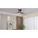Netrapal 3-Blade Indoor Ceiling Fan with Remote and Light,3 LED Colors,6 Speed DC Motor,Timer