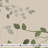 Spring Green Elm Branches Peel And Stick Wall Decals