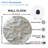 Modern Decorative 2D Wall Clock for Home Design Art - 12'' Modern Glass Wall Clock