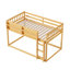 Lit superposé bas simple au-dessus de simple, lit superposé au sol avec échelle, lit superposé simple en bois massif pour enfants et adolescents, naturel-725313650