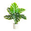 20 po Plante artificielle suisse Monstera