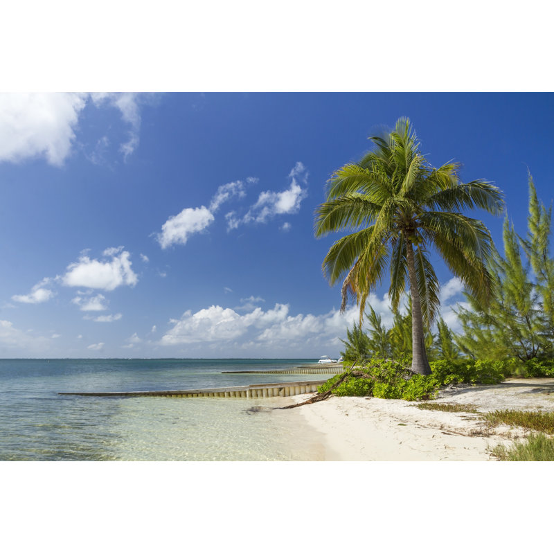 Starfish Point - Wrapped Canvas Print, 20cm H x 30cm W x 3.8cm D