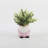3.75'' Faux Eucalyptus Plant in Ceramic Pot