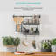 Woodside Plastic Cabinet Shelving Rack-721228956-684603596