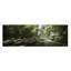 Mountain Stream - Wrapped Canvas Print-279351232-301068199