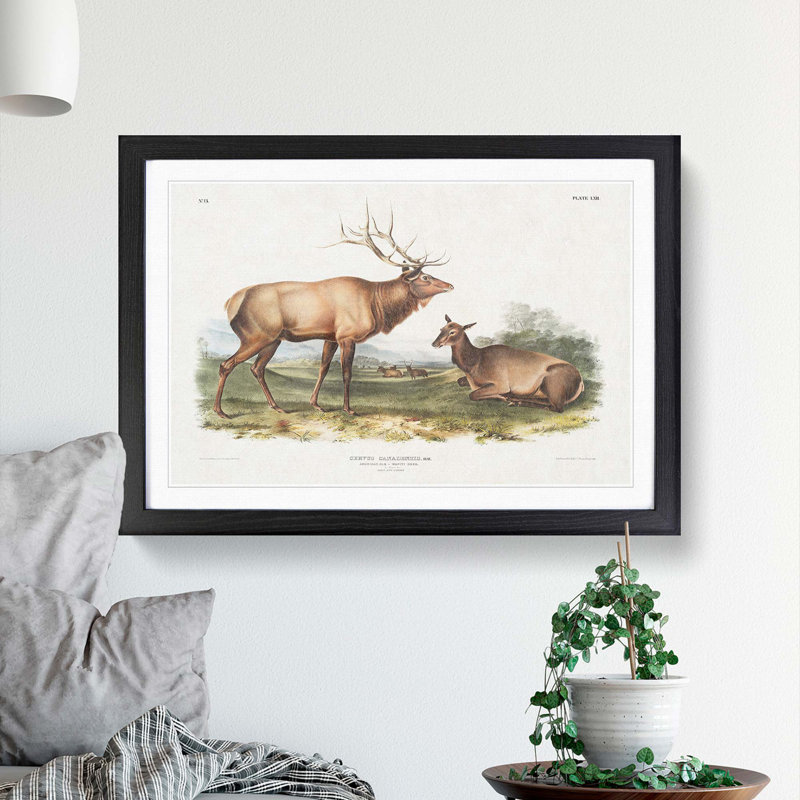American Elks by J.W. Audubon - Single Picture Frame Painting, 45cm H x 63cm W x 2cm D, Black Framed