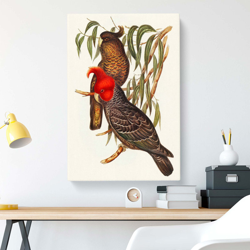 Gang-Gang Cockatoos by Elizabeth Gould - Wrapped Canvas Painting, 76cm H x 50cm W x 3cm D