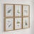 Floral Botanical Study - 6 Piece Single Picture Frame Print