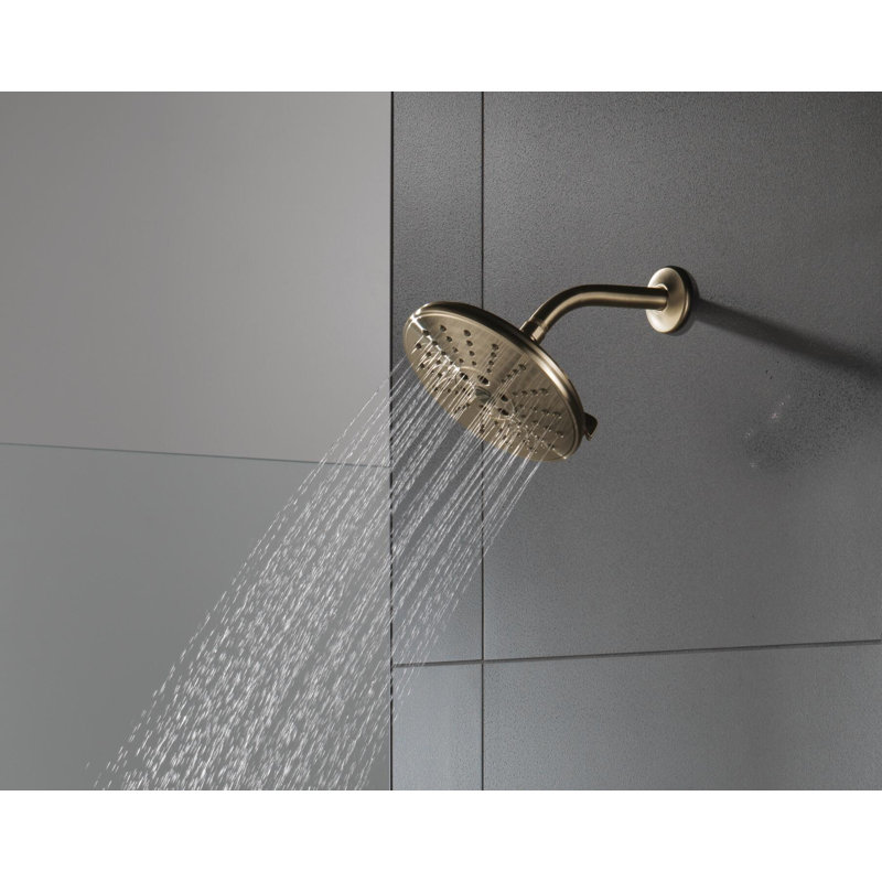 Rain Adjustable Shower Head with H2Okinetic Technology, Champagne Bronze