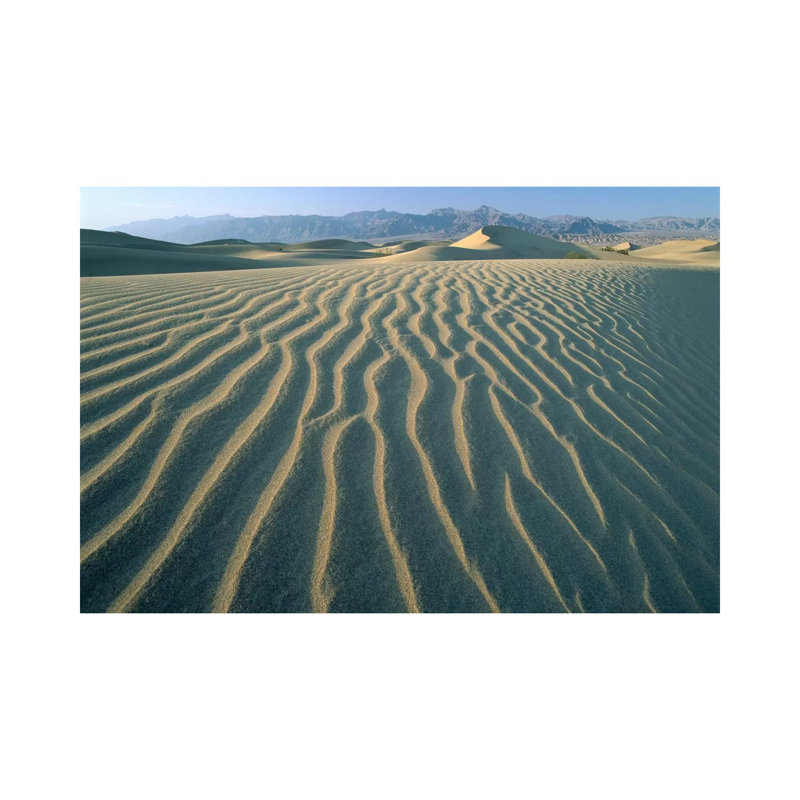 Mesquite Flat Sand Dunes, Death Valley National Park, California III by Tim Fitzharris - Gallery-Wrapped Canvas Giclée on Canvas