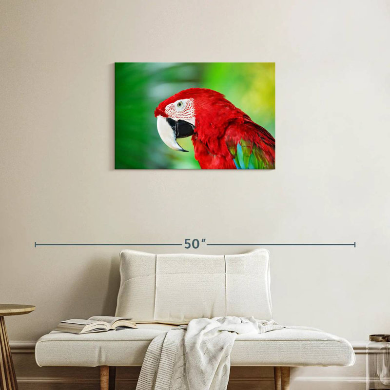 Brampt Jungle Scarlet Macaw, 20" H x 30" W