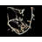 Jahlissa Indoor 20 - Bulb 72'' Battery Powered String Light
