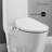 St. Tropez One-Piece Elongated Toilet Vortex Dual-Flush 1.1/1.6 Gpf With Smart Seat Bidet