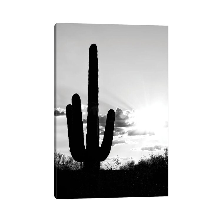 Black Arizona Series - Saguaro Cactus Shadow Sunset-PHD1476
