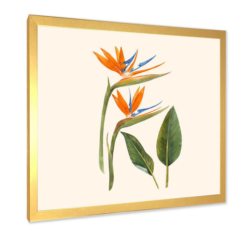 Fleurs de strelitzia rétro - impression sur toile, H 16 po x l 16 po x P 1 po, Cadre doré