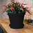 Terra Traditional Plastic Indoor/Outdoor Pot Planter-706139629-706139603