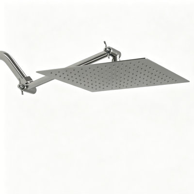 Pomme de douche à pluie de 10 pouces avec bras de douche Topcraft