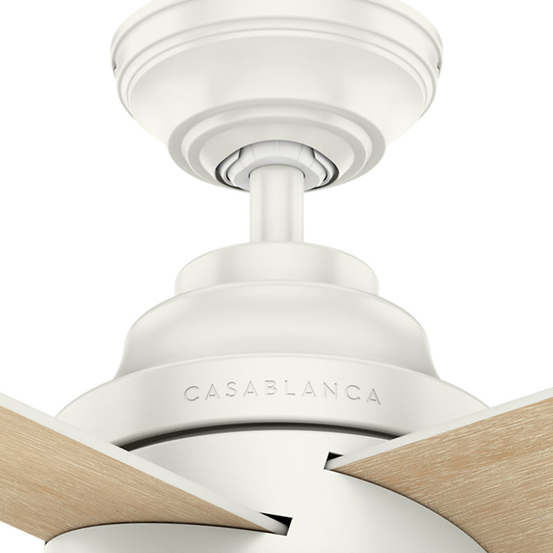 54" Daphne 4 - Blade LED Standard Ceiling Fan with Wall Control and Light Kit Included, Fresh White
