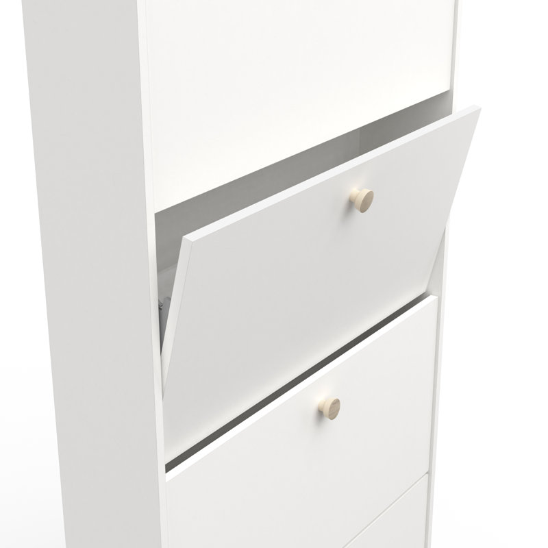 Barbaa 12 Pair Shoe Storage Cabinet