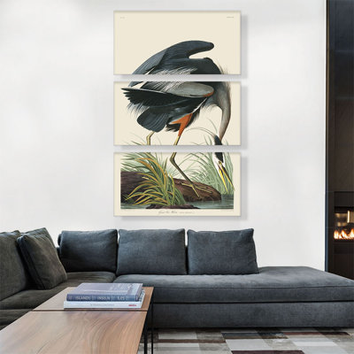 " Great Blue Heron " by James Audubon 3 - Pieces Painting Print