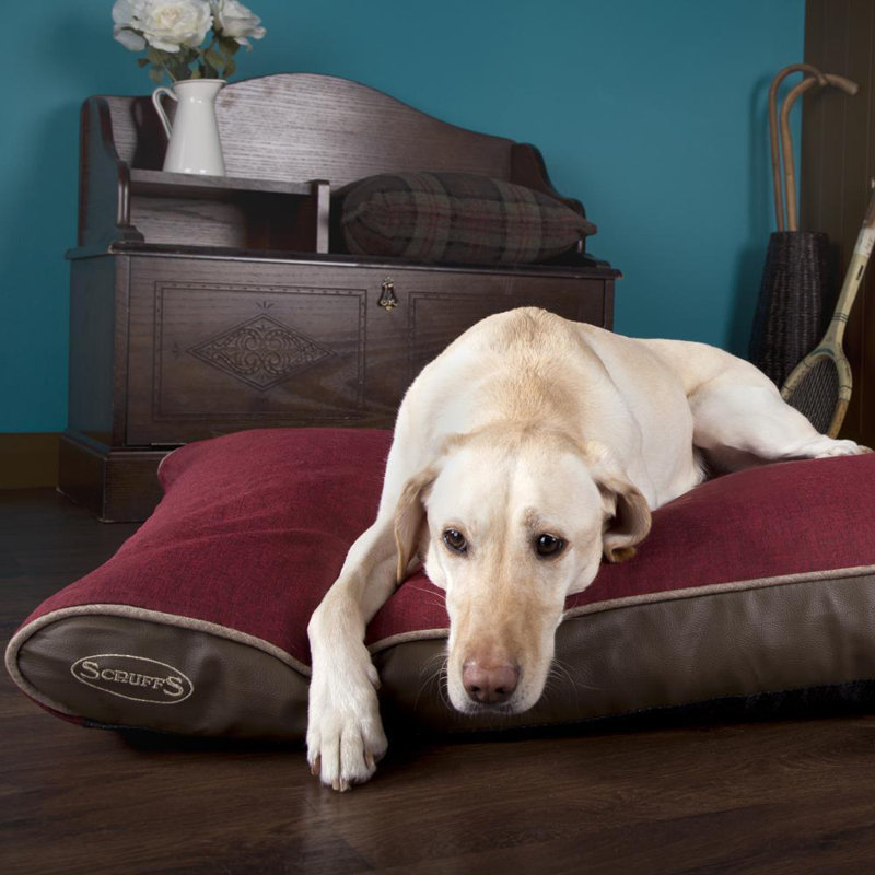 Hilton Orthopedic Polyester Pet Bed, 8cm H x 125cm W x 75cm D, Red/Saddle Brown