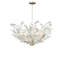 6 - Light Glass LED Chandelier