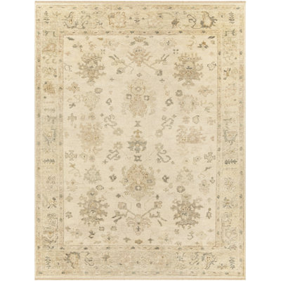 Biscayne Wool Oriental Area Rug