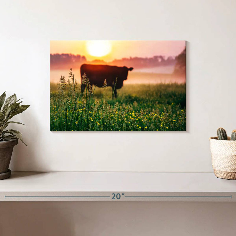 Alvord Cow Sunrise, H 8 po x l 12 po