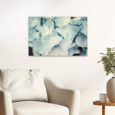 Landscape Nature Plants Flowers Hydrangea After The Rain Wall Art