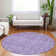 Machine Washable Indoor/Outdoor Segin ACN1133 Plum Rug