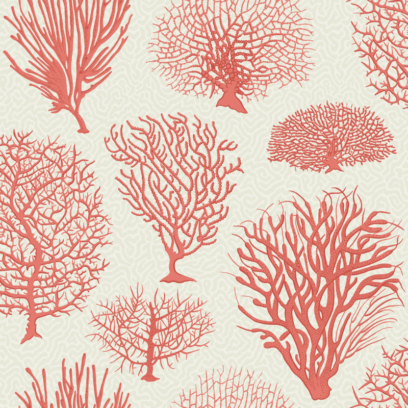 Curio Seafern Wallpaper Roll, Coral