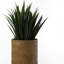 Cachepot