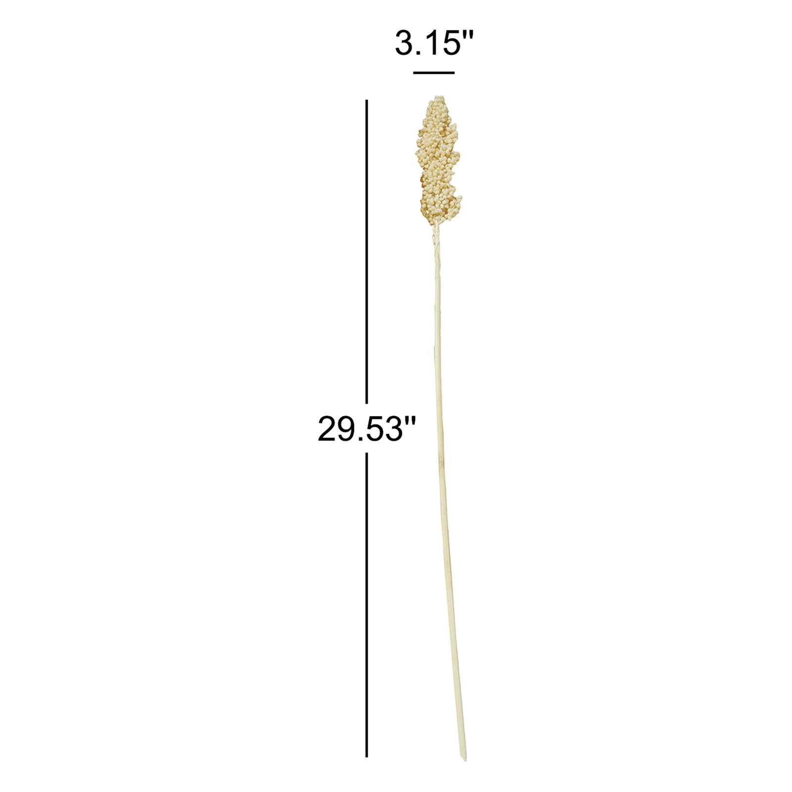 Clerkin Botanical Stems, Cream