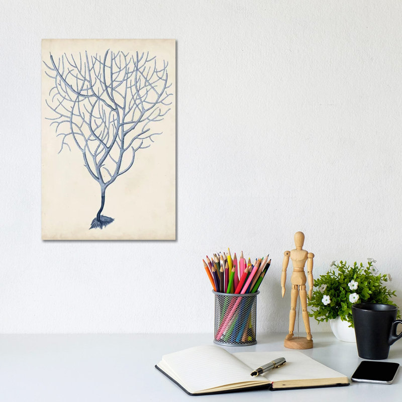 Indigo Coral III by Vision Studio - Wrapped Canvas Print, 20.32 cm H x 30.48 cm W