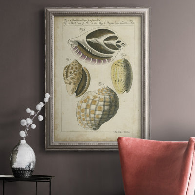 «Vintage Shell Study I», reproduction sur toile encadrée