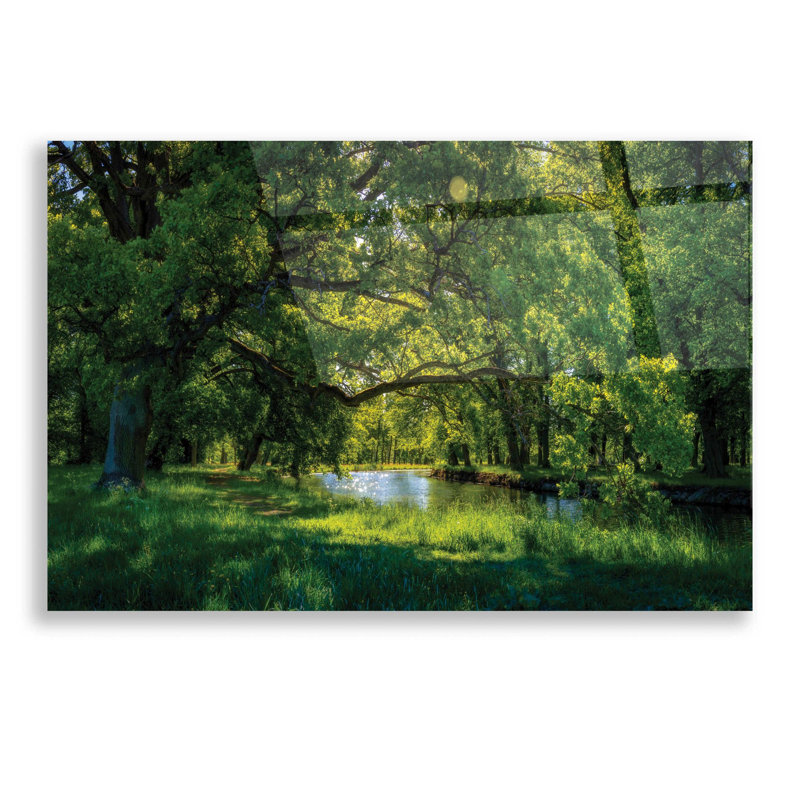 «Latitude Morning» Summer Morning In The Park »par Nicklas Gustafsson, art mural en verre acrylique