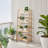Bamboo Bookshelf 4 Tiers Bamboo Ladder Bookshelf Trapezoid Storage Rack