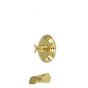 Polished Brass
