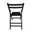 Chaise pour événement spécial pliante en bois à lattes Furniture - noir, ensemble de 4, CHAISE PLIABLE, STYLE PLIABLE
