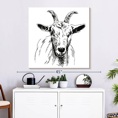 Brampt Horned Goat