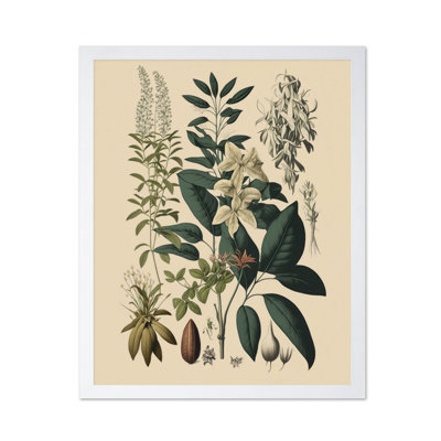 Fleur sauvage n ° 1