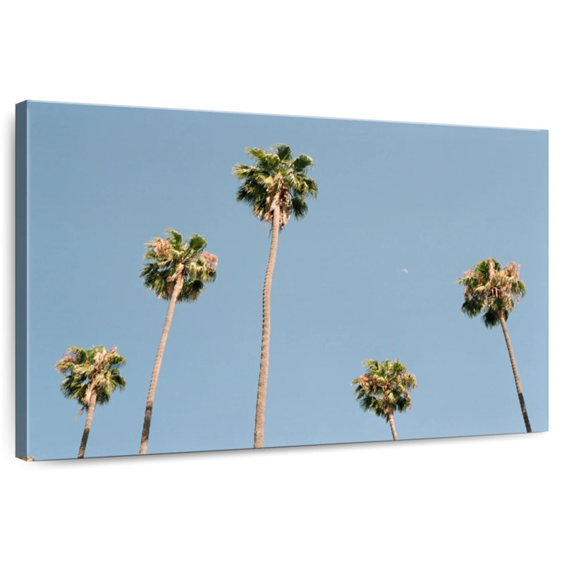 Harnek Towering Palm Trees, 16" H x 24" W