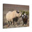 «Black Rhino Couple», impression d'art mural-317869092