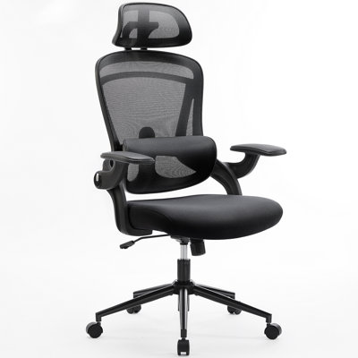 Ergonomic Office Chair with Adjustable Headrest and Armrests by Inbox Zero