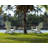 POLYWOOD Palm Coast Ultimate Adirondack 3-Piece Set-39398614