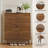 Shoe Cabinet Storage with 2 Flip Drawers and adjustable shelves-1211020799